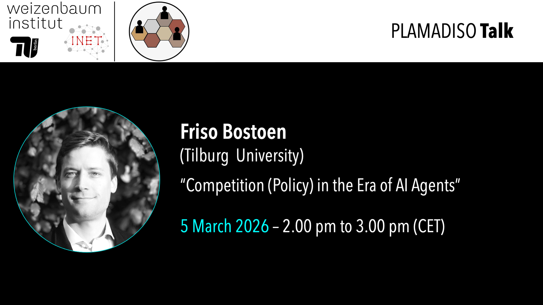 PLAMADISO Poster Friso Bostoen